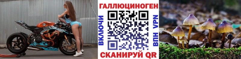 где найти наркотики  Наро-Фоминск  Псилоцибиновые грибы Psilocybe 